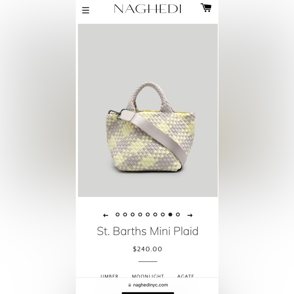 NWT Naghedi St. Barths Mini Plaid- color Straw (retail $240)